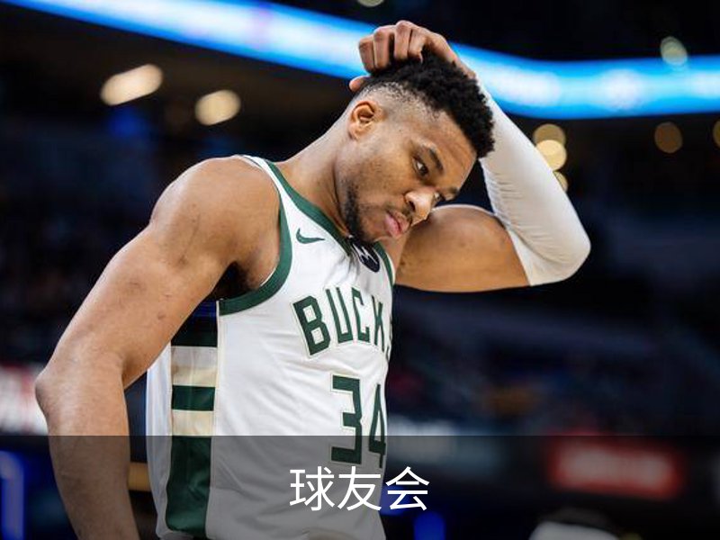 球友会概况